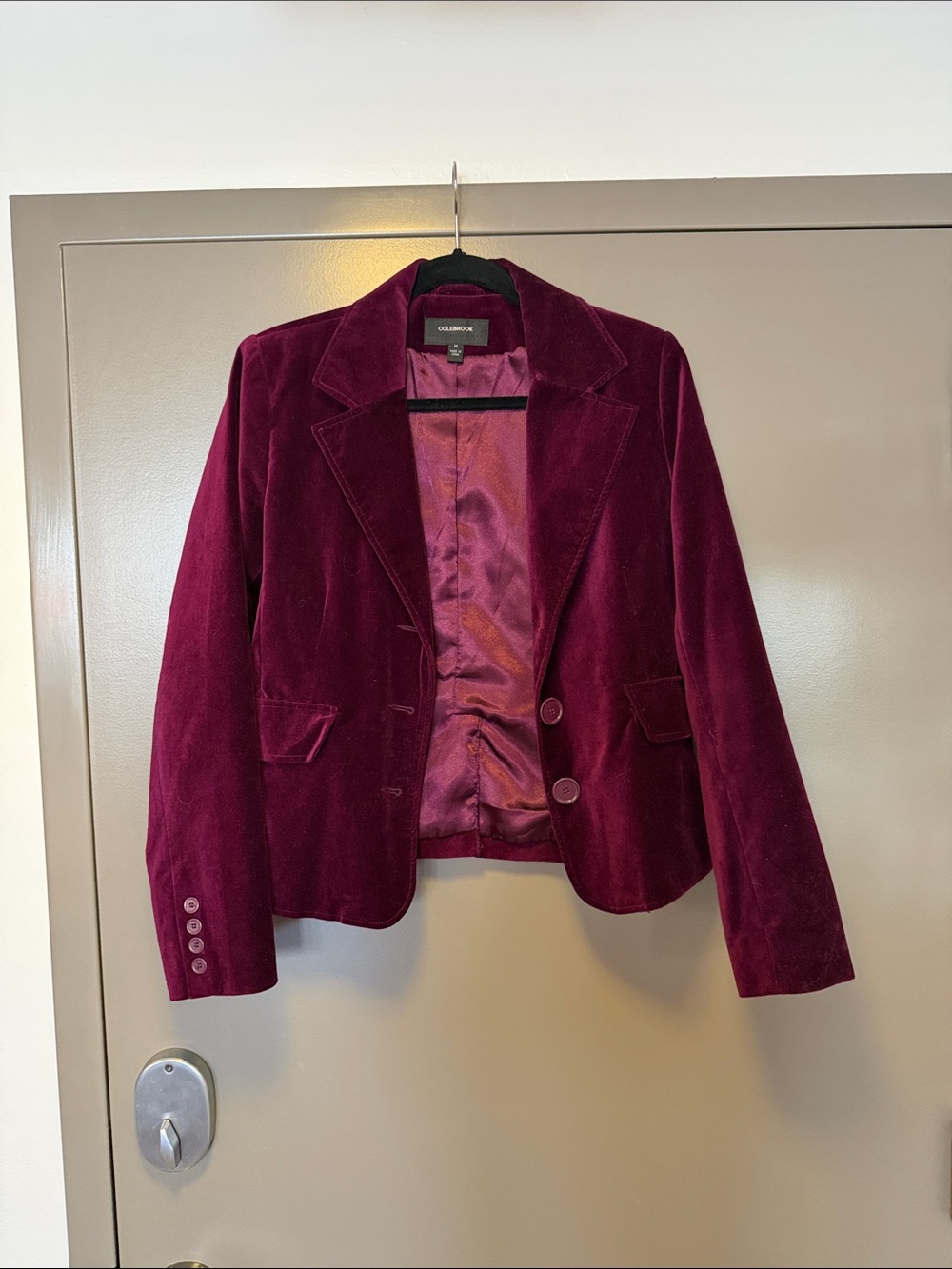 Coldwater Creek Velvet Blazer in Wine